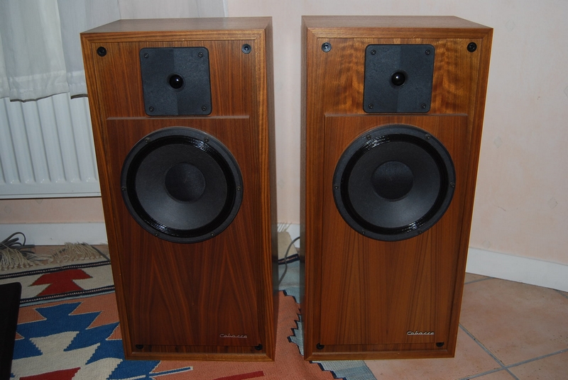 Photo : Enceintes Cabasse Brick M8
