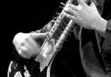 Photo annonce Cours de musique indienne Sitar