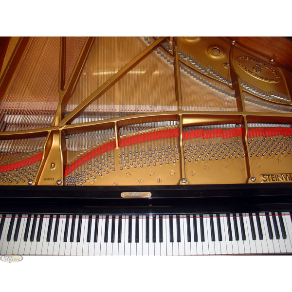Photo : Steinway Queue Concert