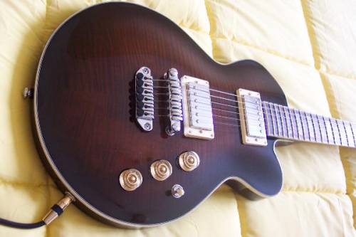 Photo annonce Ibanez ARC 300 DVS & accessoires
