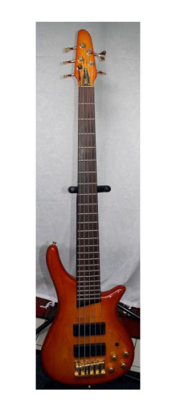 Photo annonce Basse active SGC Nanyo Bass Collection SB330