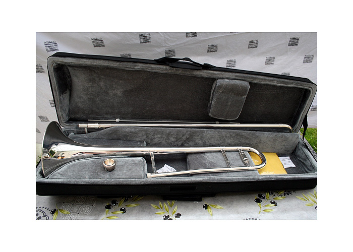 Photo annonce Trombone a Coulisse Tenor Sib