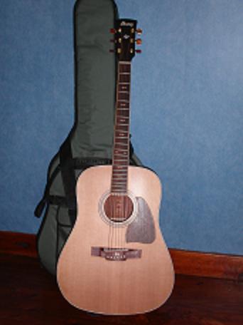 Photo annonce Ibanez AW 85 RLG