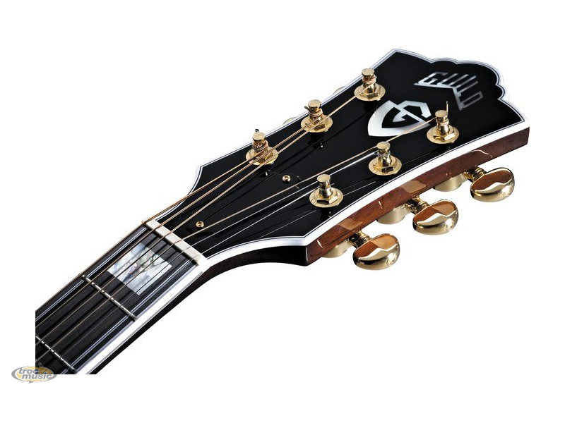 Photo : GUILD D55 DTAR