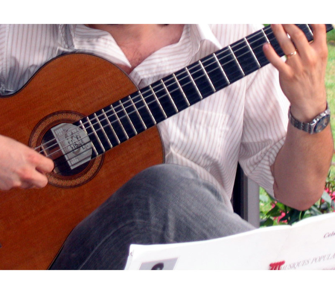 Photo annonce Guitariste pro donne cours sur Toulouse