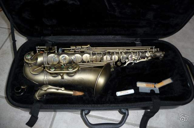 Photo annonce Sax Alto Professionnel P Mauriat PMXA 67R