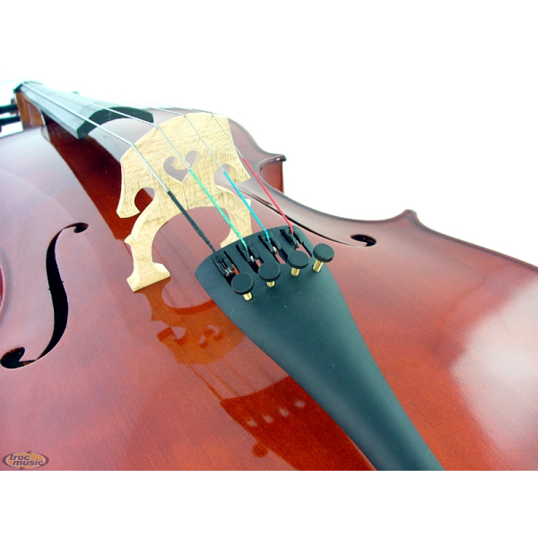 Photo annonce Violoncelliste Professionnelle
