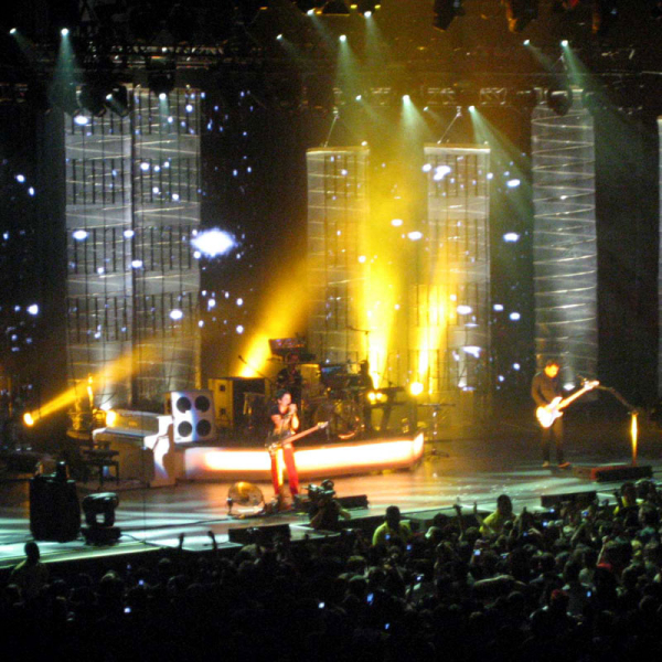 Photo annonce MUSE FACE A LA SCENE