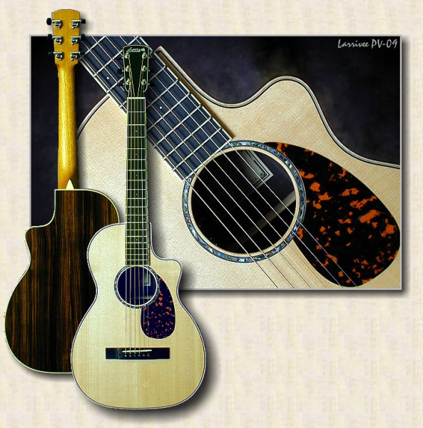 Photo annonce Guitare Larrivee PV 09 Electro acoustique