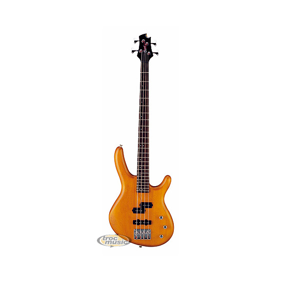 Photo annonce Cort Action Bass 174