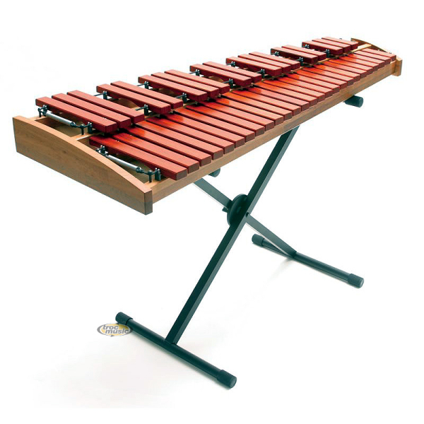 Photo annonce Xylophone & Pied