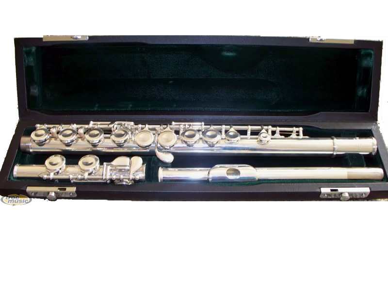 Photo : Flute Pearl PF 501 & Etui