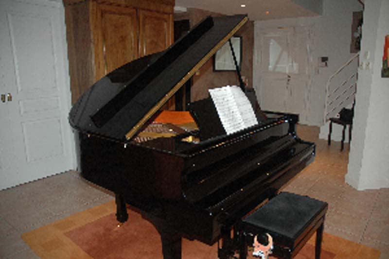 Photo annonce PIANO QUART DE QUEUE HEILMAN