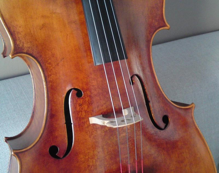Photo : Violoncelle & Cordes Jargar