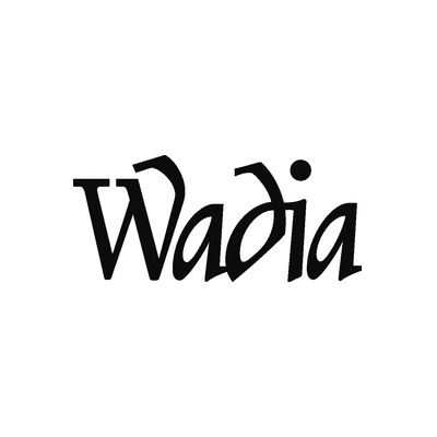 Photo annonce Lecteur CD Wadia 2000