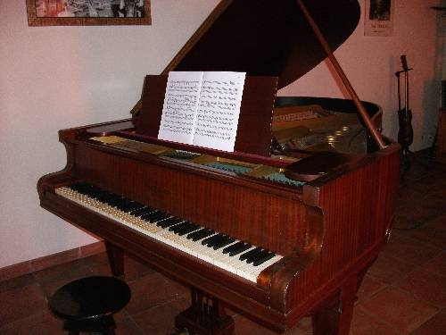 Photo annonce Piano Gaveau Demi queue