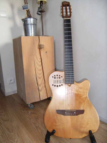 Photo : Electro acoustique Godin ACS SA