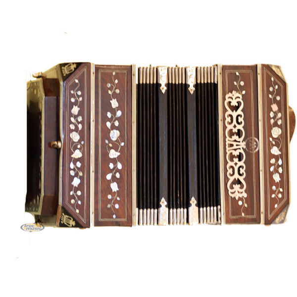 Photo : Bandoneon avec system Peguri