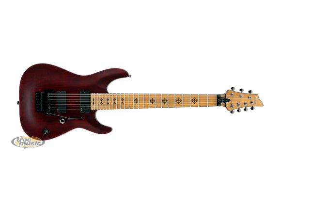 Photo : Schecter Jeff Loomis fixed bridge