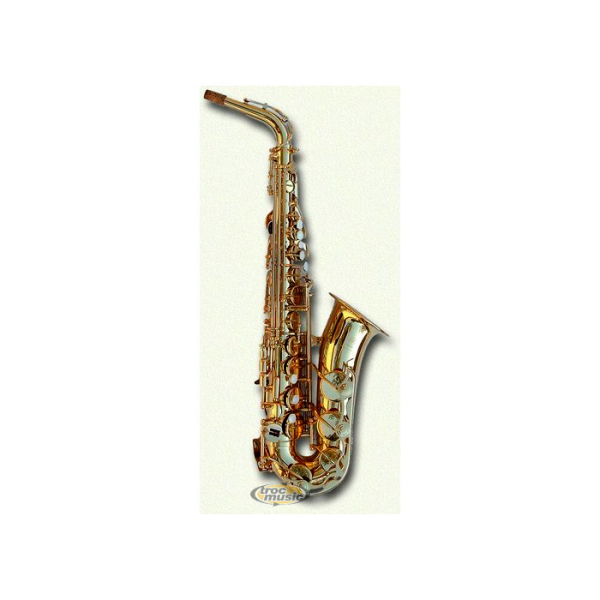 Photo : Sax Alto Yamaha YAS 25 & malette + sourdine