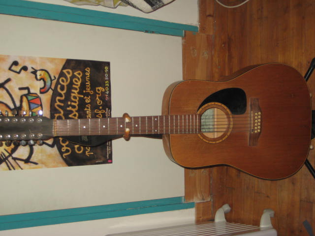 Photo annonce Guitare 12 cordes S&P 12 Cedar