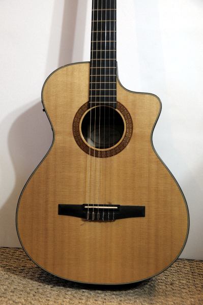 Photo : Classique Nylon Taylor NS 32 CE 2002