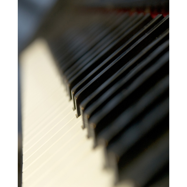 Photo : Roland KR 3000