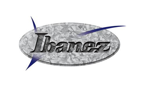 Photo annonce Electro acoustique IBANEZ & Cordes neuves