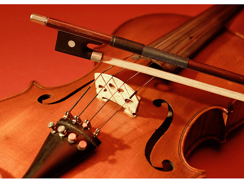 Photo annonce Violoniste pour Concert