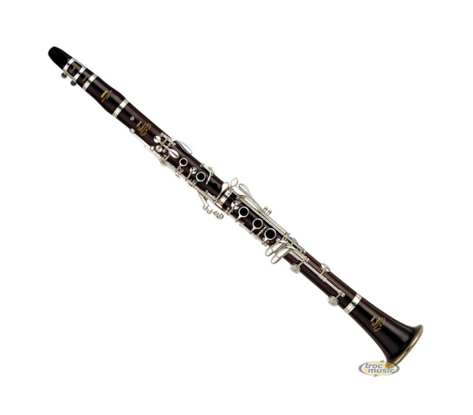 Photo annonce Clarinette YAMAHA Custom SEV & Housse