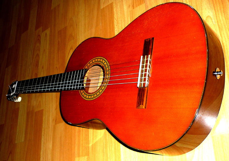 Photo : Guitare electro classique Takamine EG