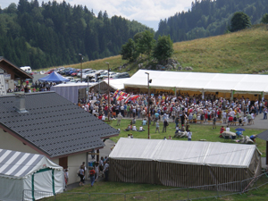 Photo annonce Festival de musiques des Alpes le Feufliazhe