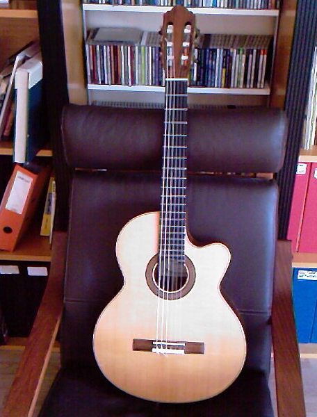 Photo annonce Guitare Luthier Alain Queguiner