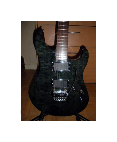 Photo : Yamaha RGX & EMG actifs 81 et 85