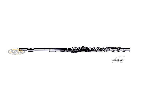 Photo annonce Flute Traversiere professionnelle MIYAZAWA