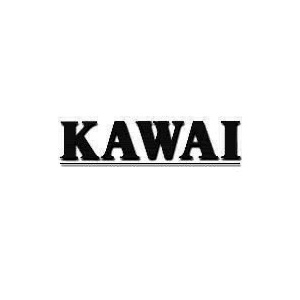 Photo : Clavier KAWAI FS 2000