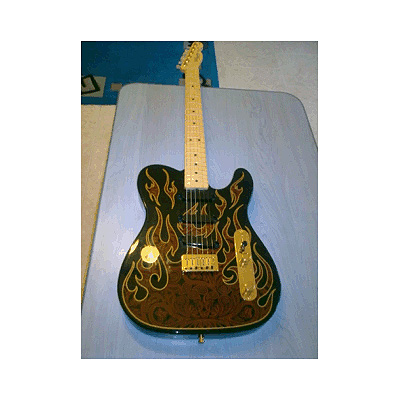 Photo annonce Guitare Fender signature & Etui