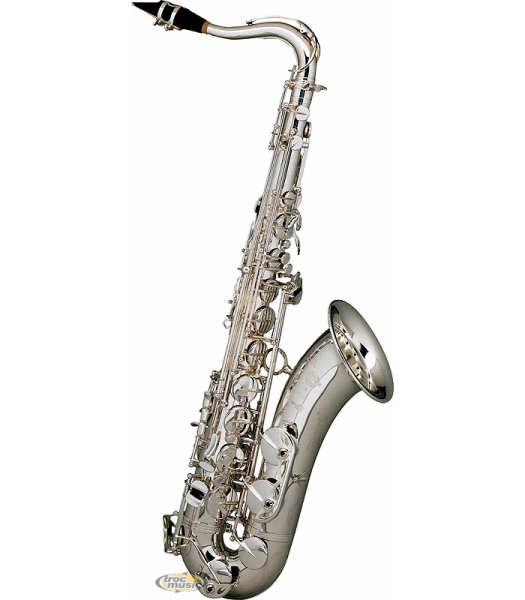 Photo : Sax Tenor Selmer Super Action Serie 2 argent