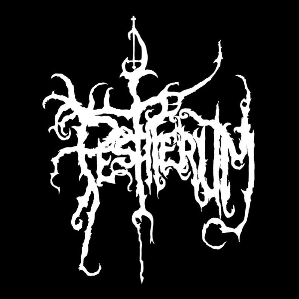 Photo annonce Batteur jouant du Black Metal
