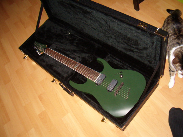 Photo annonce Ibanez 7 cordes Korn