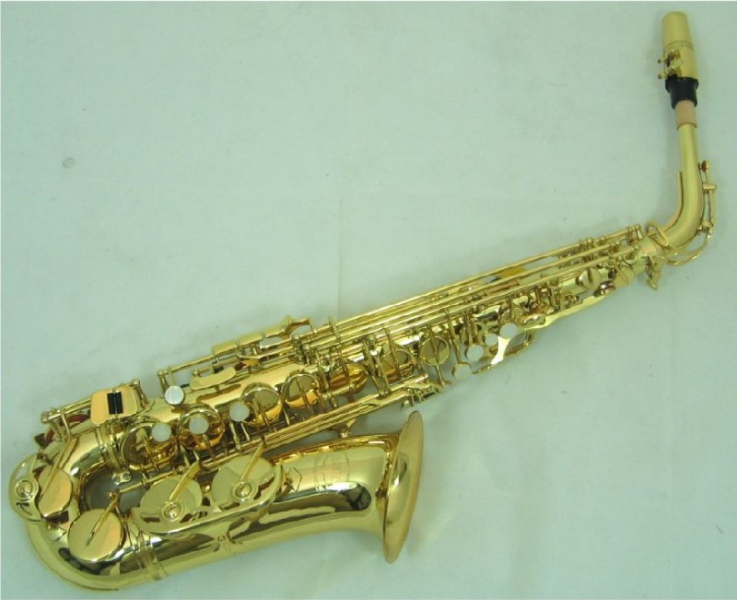 Photo : Sax Alto SELMER AS700 & Etui
