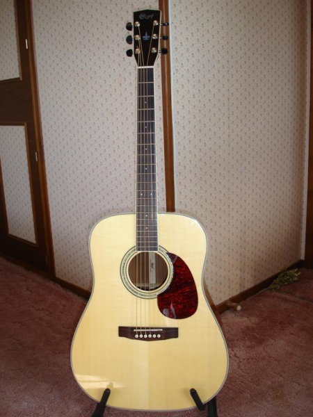 Photo : Guitare Folk CORT Earth 200
