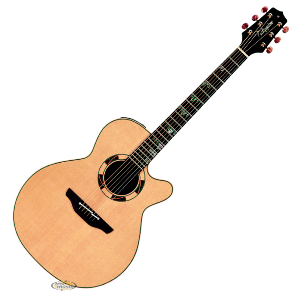 Photo : Takamine TSF 48C & etui rigide