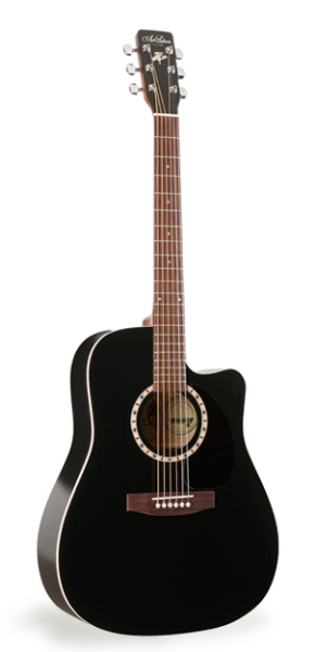 Photo annonce Guitare Folk Art Lutherie Black
