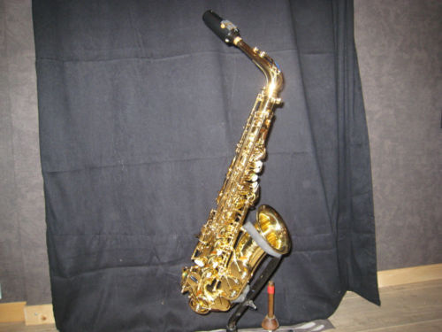 Photo annonce Saxo alto Selmer serie 3