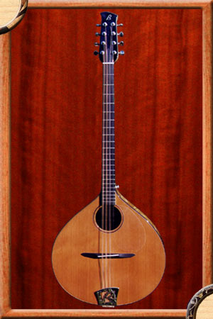 Photo annonce Irish Bouzouki  Marc Boluda