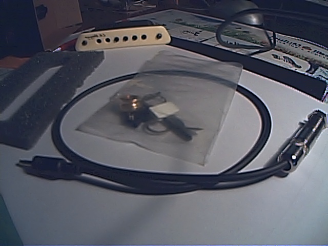 Photo annonce Micro rosace pour acoustique M1 LR Baggs