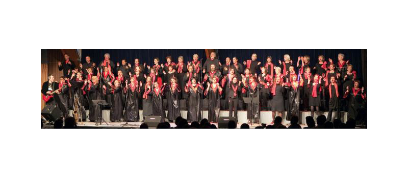 Photo annonce CHOEUR GOSPEL CHERCHE BATTEUR