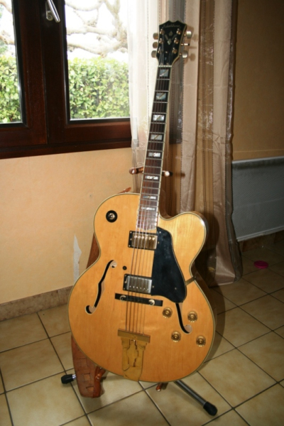 Photo annonce GUITARE JAZZ WASHBURN J6
