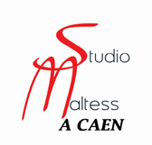Photo annonce Studio Maltess Creation Arrangement Compo